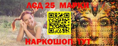 стафф Кингисепп