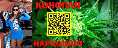 стафф Кингисепп