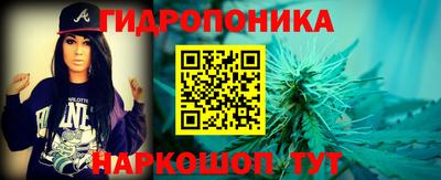 стафф Кингисепп