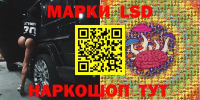 a pvp Кинель