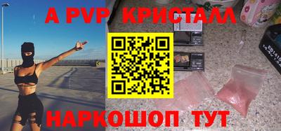 стафф Кингисепп