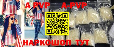 стафф Кингисепп