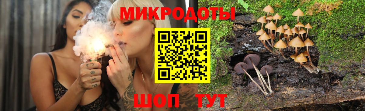 Галлюциногенные грибы Psilocybine cubensis Кувандык