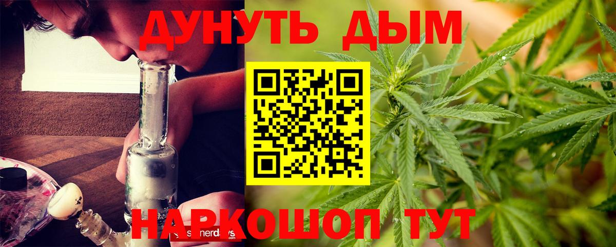 Конопля сатива Кувандык